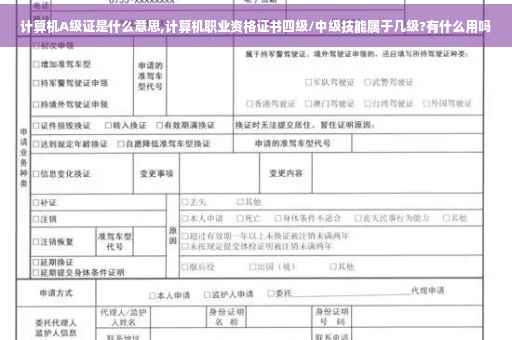 计算机A级证是什么意思,计算机职业资格证书四级/中级技能属于几级?有什么用吗