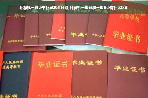 计算机一级证书补贴怎么领取,计算机一级证和一级B证有什么区别