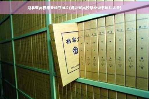 湖北省高校毕业证书图片(湖北省高校毕业证书图片大全)
