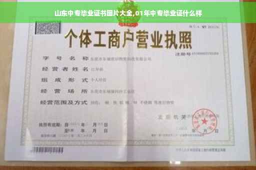 山东中专毕业证书图片大全,01年中专毕业证什么样