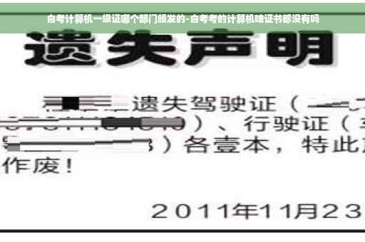 自考计算机一级证哪个部门颁发的-自考考的计算机啥证书都没有吗