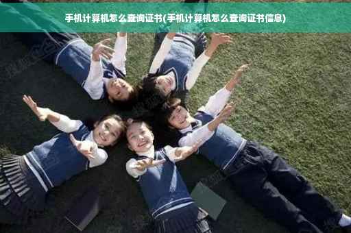 手机计算机怎么查询证书(手机计算机怎么查询证书信息)