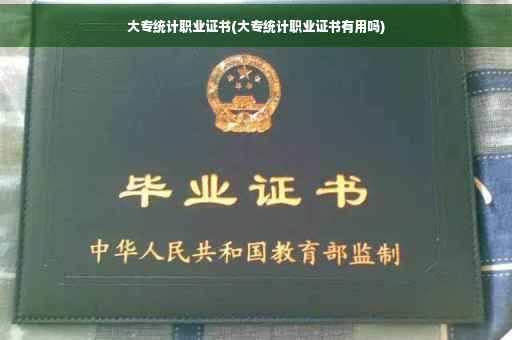 大专统计职业证书(大专统计职业证书有用吗)
