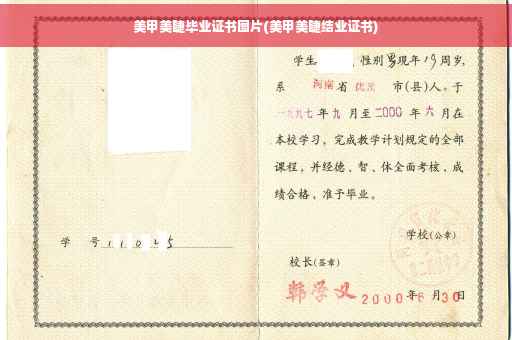 美甲美睫毕业证书图片(美甲美睫结业证书)