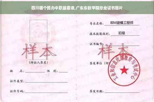 四川哪个民办中职最靠谱,广东东软学院毕业证书图片