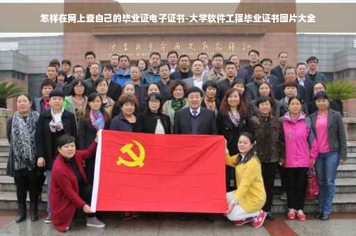怎样在网上查自己的毕业证电子证书-大学软件工程毕业证书图片大全