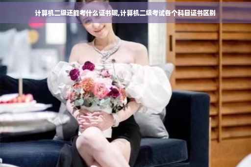 计算机二级还能考什么证书呢,计算机二级考试各个科目证书区别