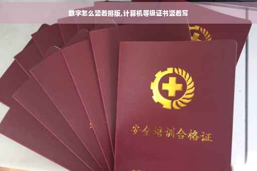 数字怎么竖着排版,计算机等级证书竖着写