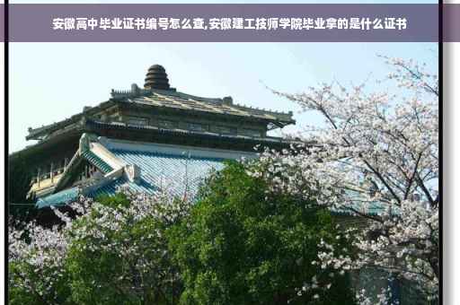安徽高中毕业证书编号怎么查,安徽建工技师学院毕业拿的是什么证书