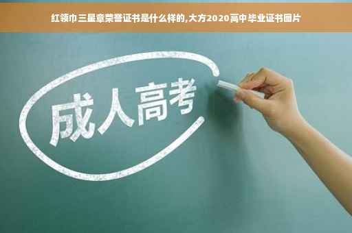 红领巾三星章荣誉证书是什么样的,大方2020高中毕业证书图片
