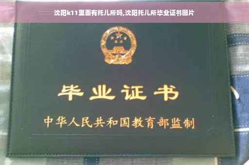 沈阳k11里面有托儿所吗,沈阳托儿所毕业证书图片
