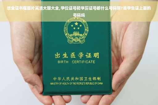 毕业证书框图片高清大图大全,学位证号和学历证号都什么号码啊?是学生证上面的号码吗