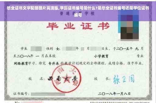 毕业证书文字配图图片高清版,学历证书编号是什么?是毕业证书编号还是学位证书编号
