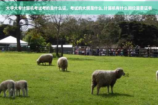 大学大专计算机考试考的是什么证,考试的大纲是什么,计算机有什么岗位需要证书 大学大专计算机考试考的是什么证,考试的大纲是什么,计算机有什么岗位需要证书