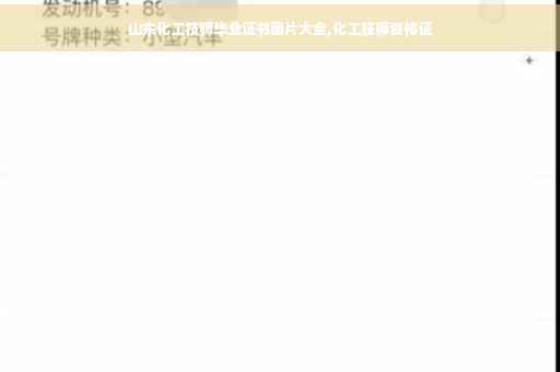 山东化工技师毕业证书图片大全,化工技师资格证