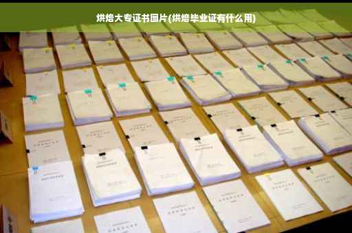 烘焙大专证书图片(烘焙毕业证有什么用)