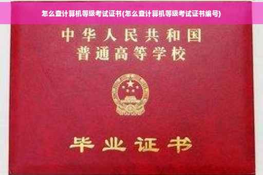 怎么查计算机等级考试证书(怎么查计算机等级考试证书编号)