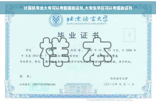 计算机专业大专可以考取哪些证书,大专生学历可以考哪些证书