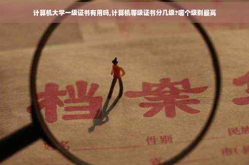 计算机大学一级证书有用吗,计算机等级证书分几级?哪个级别最高