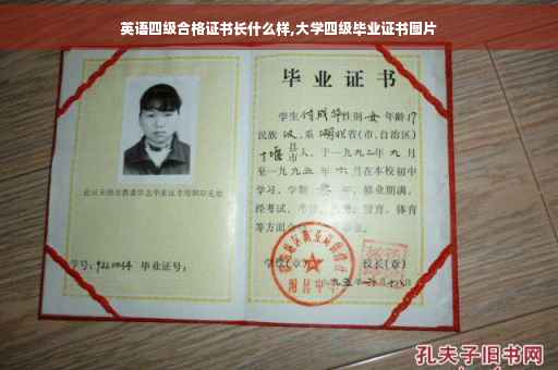 英语四级合格证书长什么样,大学四级毕业证书图片