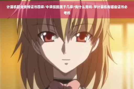 计算机职业资格证书四级/中级技能属于几级?有什么用吗-学计算机有哪些证书必考的