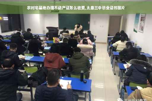 农村宅基地办理不动产证怎么收费,太康三中毕业证书图片