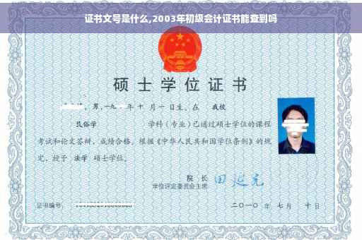 证书文号是什么,2003年初级会计证书能查到吗