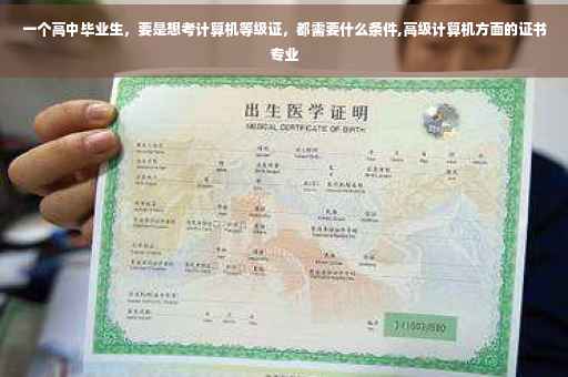 一个高中毕业生，要是想考计算机等级证，都需要什么条件,高级计算机方面的证书专业