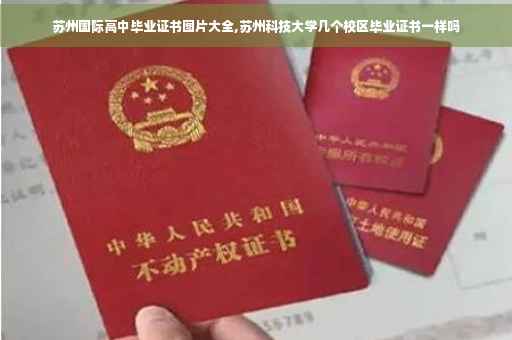 苏州国际高中毕业证书图片大全,苏州科技大学几个校区毕业证书一样吗