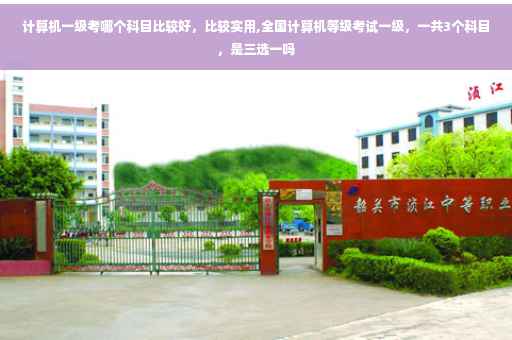 计算机一级考哪个科目比较好，比较实用,全国计算机等级考试一级，一共3个科目，是三选一吗