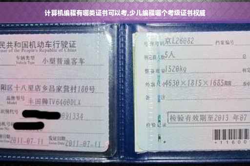 计算机编程有哪类证书可以考,少儿编程哪个考级证书权威