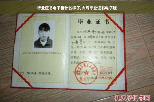 毕业证书电子档什么样子,大专毕业证书电子版