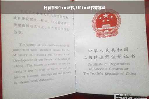 计算机类1+x证书,3加1x证书有哪些