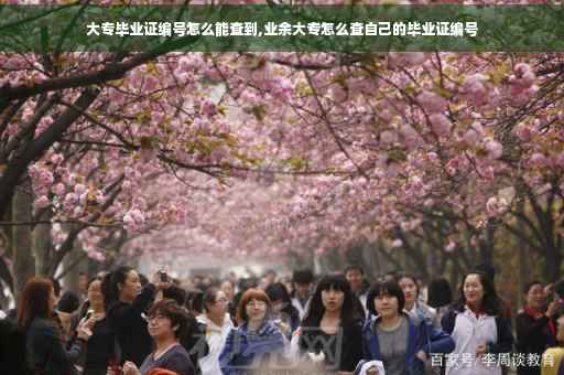 大专毕业证编号怎么能查到,业余大专怎么查自己的毕业证编号