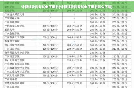 计算机软件考试电子证书(计算机软件考试电子证书怎么下载)