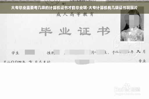 大专毕业需要考几级的计算机证书才能毕业呢-大专计算机有几级证书啊图片