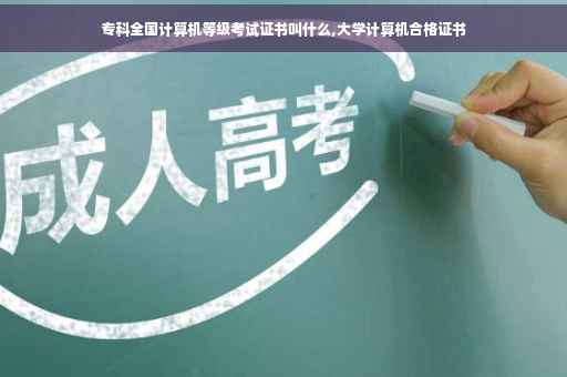 专科全国计算机等级考试证书叫什么,大学计算机合格证书