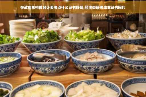 在政府机构做会计要考点什么证书好啊,经济类联考毕业证书图片