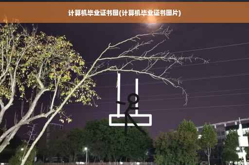 计算机毕业证书图(计算机毕业证书图片)