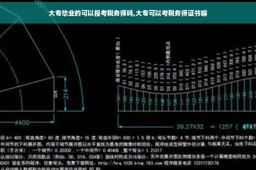 大专毕业的可以报考税务师吗,大专可以考税务师证书嘛