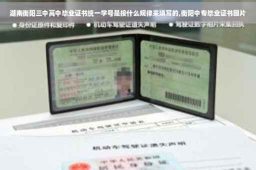 湖南衡阳三中高中毕业证书统一学号是按什么规律来填写的,衡阳中专毕业证书图片