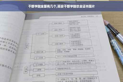 干部学院全国有几个,延安干部学院毕业证书图片
