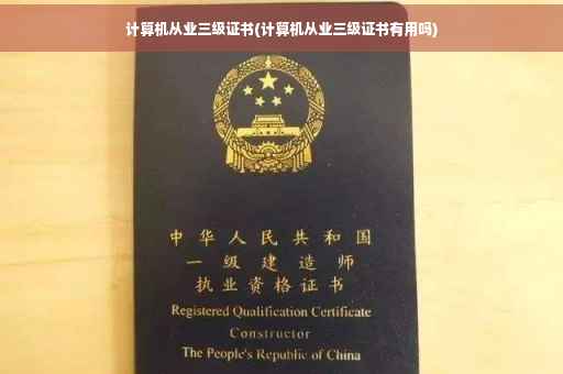 计算机从业三级证书(计算机从业三级证书有用吗)