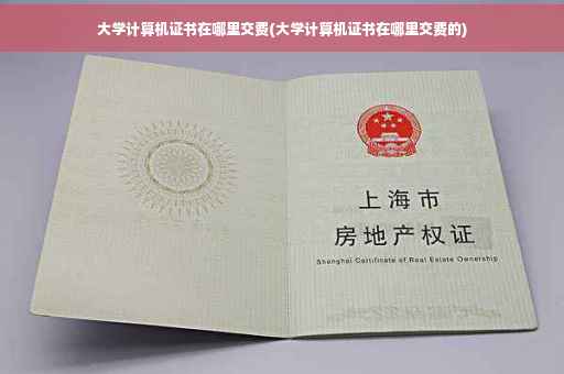 大学计算机证书在哪里交费(大学计算机证书在哪里交费的)