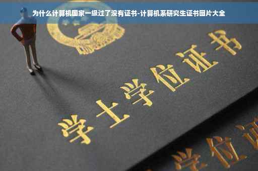 为什么计算机国家一级过了没有证书-计算机系研究生证书图片大全