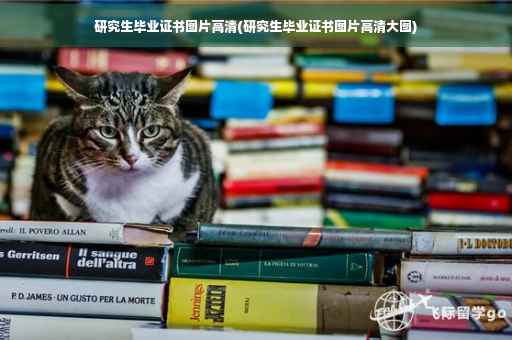 研究生毕业证书图片高清(研究生毕业证书图片高清大图)
