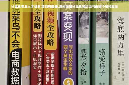 计算机专业人才证书 项目有哪些,求问国家计算机等级证书由哪个机构颁发