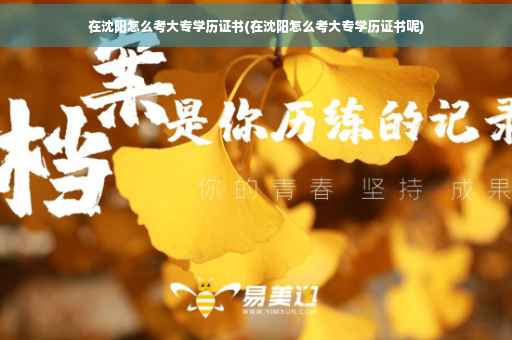 在沈阳怎么考大专学历证书(在沈阳怎么考大专学历证书呢)