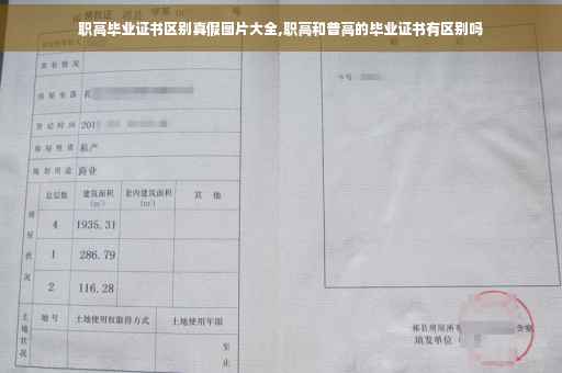 职高毕业证书区别真假图片大全,职高和普高的毕业证书有区别吗
