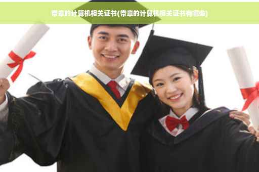 带章的计算机相关证书(带章的计算机相关证书有哪些)
